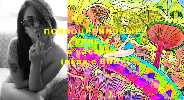 не бодяженный Дмитровск